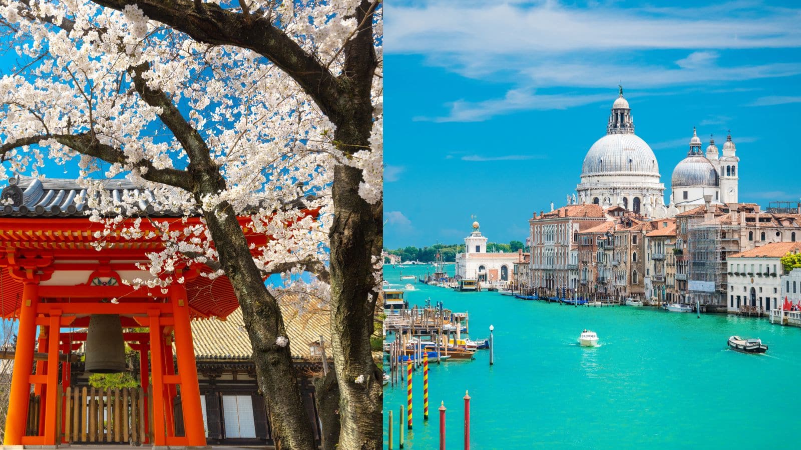 Plans are being made to roam in another country, so those puts are the right for you, see complete checklist – Overseas locations the place Indian vacationers draw in this 12 months Maldives Thailand Japan Italy and Different