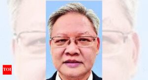 Give the bully an inch, he will take a mile: China envoy amid tariff battle | India Information